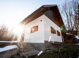 Relax house AVUS with Sauna，位于Slap ob Idrijci的乡村别墅