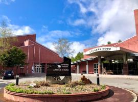 Asoviva Nagano Park，位于长野的酒店