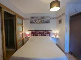 Suite familiale paisible avec activités en plein air et confort moderne - FR-1-591-447