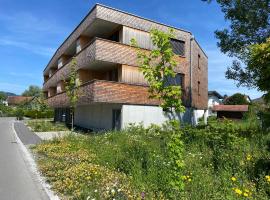 BOUTIQUE APARTMENTS LUSTENAU Nachhaltige Kühlung über Erdsonde und Fussbodenkühlung，位于卢斯特瑙的酒店