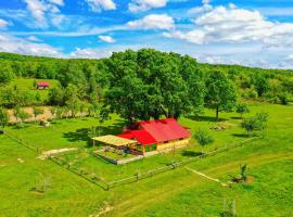 Căsuța din Stejari-Transalpina，位于诺瓦齐- 斯特拉尼的酒店