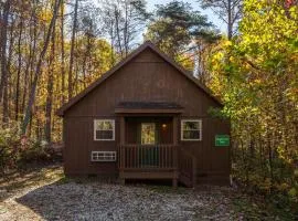 Blue Rose Cabins - Naughty Pine Cabin