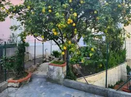Appartement avec jardin - Le Citronnier