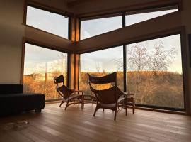 Pensiunea Hardic，位于Horodnic de Sus的酒店