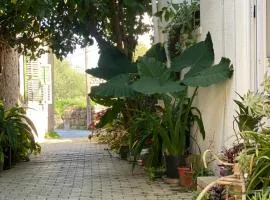 Grandmother's House