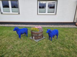 Ferienwohnung zu den Blauen Schafen，位于赖因斯贝格的酒店