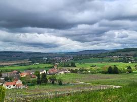 Le Coq de Champagne，位于Dormans的酒店