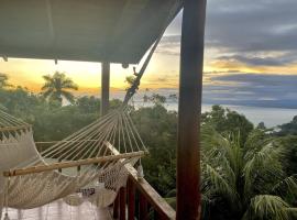 MiZaru ocean view hotel Manuel Antonio，位于奎波斯城的酒店