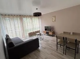 2 chambres proche centre-ville