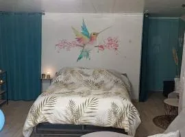 Le nid du Colibri