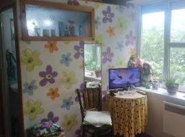 Studio beba