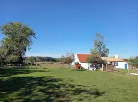 Charmant gîte au cœur de la nature et des animaux