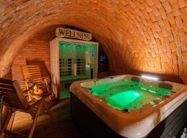 WeinSpitz - Wellness House，位于Miklavž pri Ormožu的酒店