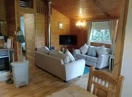 Comfy Secluded Cabin