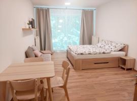 Apartmán IRIS Poděbrady，位于波杰布拉迪的酒店