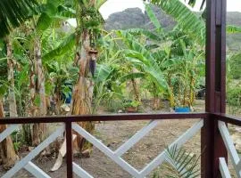Nature View