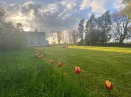 Cosy farmhouse in the heart of Roscommon，位于罗斯康芒的酒店