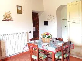 Casavacanze Pergolino, appartamenti ad uso esclusivo