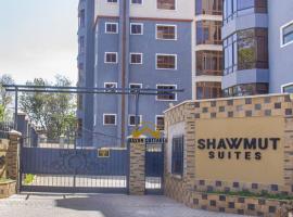 Havan Furnished Apartment-Shawmut，位于纳库鲁的公寓