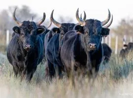 MANADE SAINT LOUIS Mas de La Paix