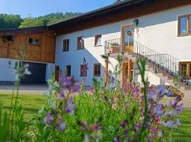 Antenbichllehen Ferienwohnungen