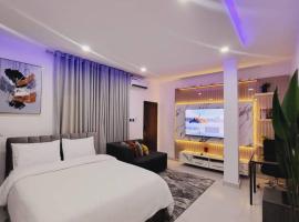 Stylish Modern Studio Apartment Banana Island Ikoyi，位于拉各斯的酒店