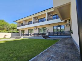 Pensiunea Boema，位于胡内多阿拉的住宿