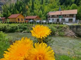 Pensiunea Cheile Șugăului，位于比卡兹凯的酒店