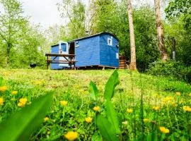 Cosy Shepherd's Hut with Hot Tub