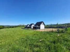 Sosnowe Wzgórze - Wypoczynek w Zagórzu Śląskim 2