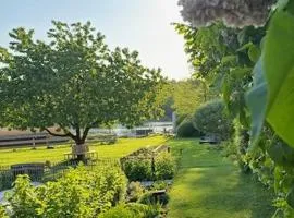 阿尔斯维旺迪酒店