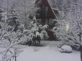 Casa Edenland Doftana