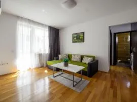 Apartament Family Rivulus 9