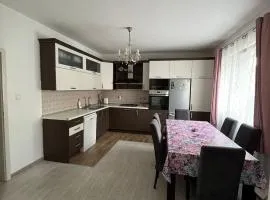 Apartman Šegetin