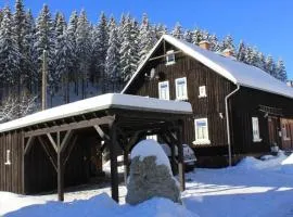 Ferienhaus in Klingenthal mit Terrasse, Grill und Garten