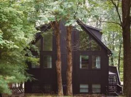 Temi Rooms in Poconos - Modern Chalet