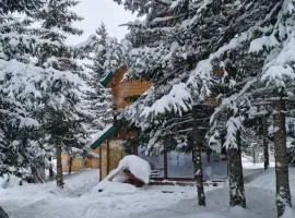 Koljensic house and bungalows