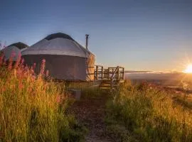 Bramble Yurt