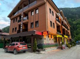 My Home Uzungöl，位于乌宗的酒店