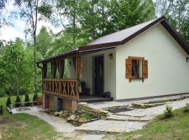 Hacienda domek całoroczny z jacuzzi w lesie pod Rzeszowem，位于Strzyżów的酒店