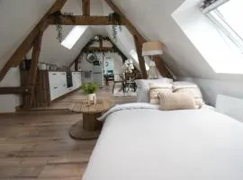LE RELAIS DES CALECHES - l'Appartement "L'aparté"