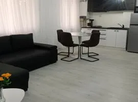 Apartament Central