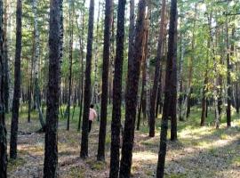 Гостевой двор Алма-Ата，位于博罗沃耶的住宿加早餐旅馆