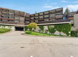 Nice Apartment In Schonach Im Schwarzwal