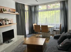 2 Zimmer Appartement mit Pool im Haus，位于施卢赫湖的酒店