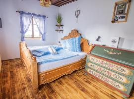 Penzion Sněžná Volary，位于沃拉里的酒店