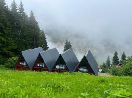 Hamsiköy Valley Bungalov，位于Macka的度假屋