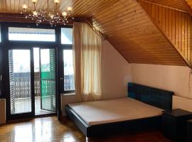 Luxury 3 BR Vila in a forest 10min drive from city center，位于布达佩斯的酒店