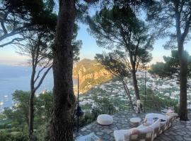 La Casa nel Bosco，位于卡普里的民宿