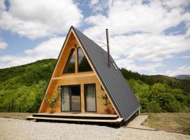 Păltinel，位于布拉索夫的酒店